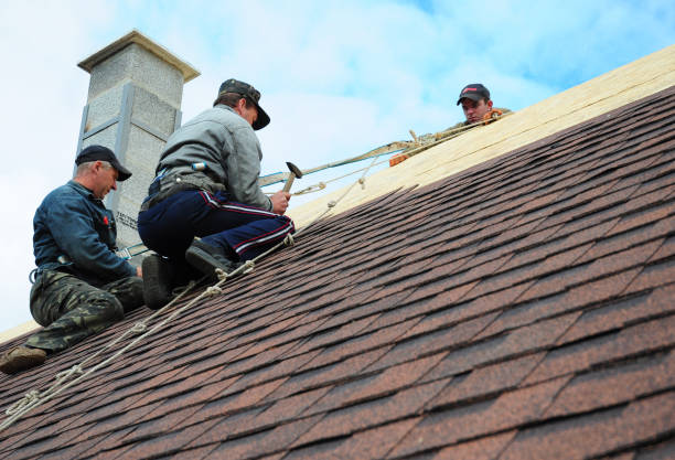 Best Roof Waterproofing Services  in Heeia, HI